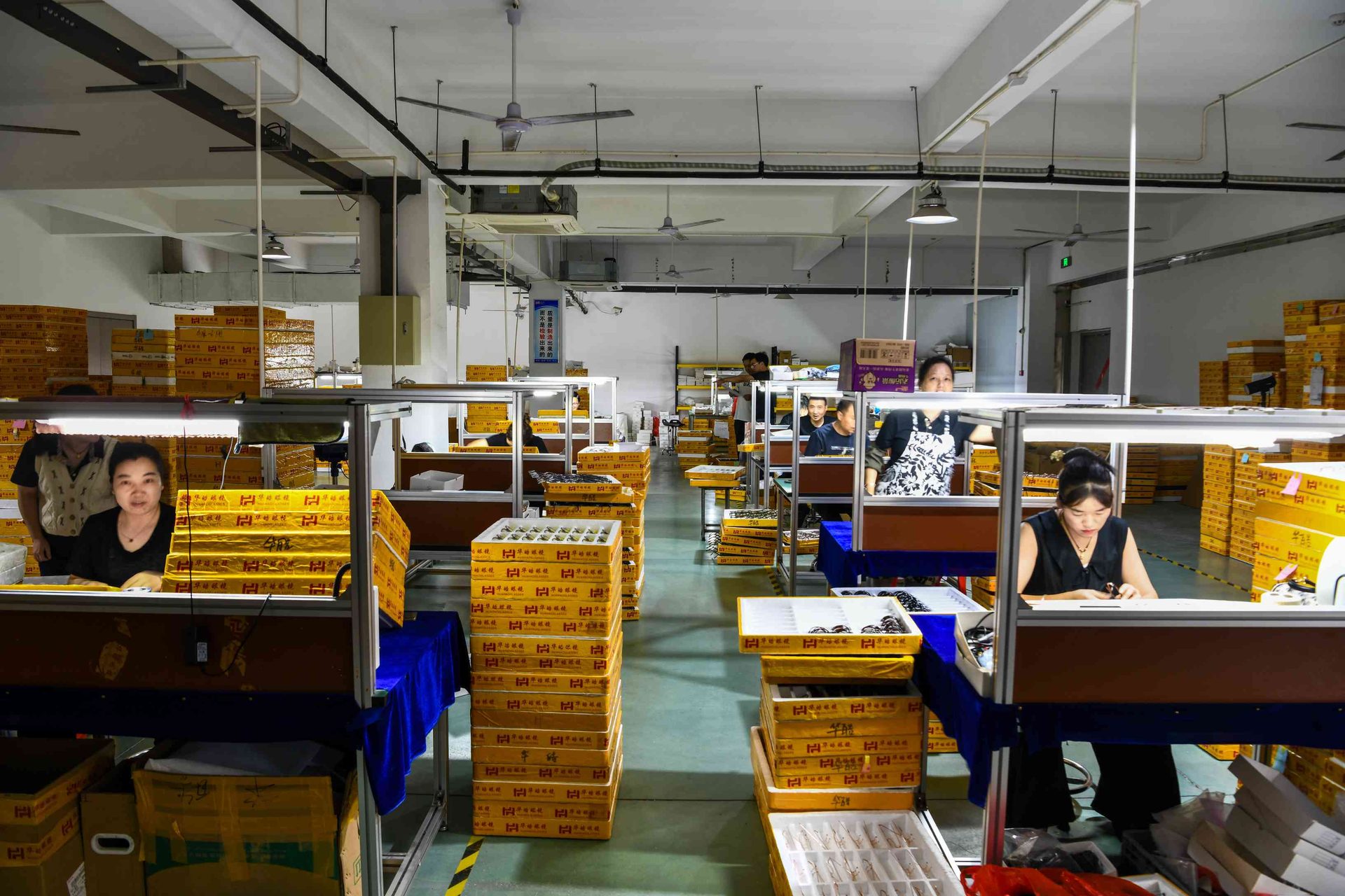 Assembly line workers fitting metal and acetate frames at HAO Eyewear factory in Danyang